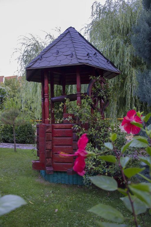 Hotel Carpati Бая-Маре Экстерьер фото