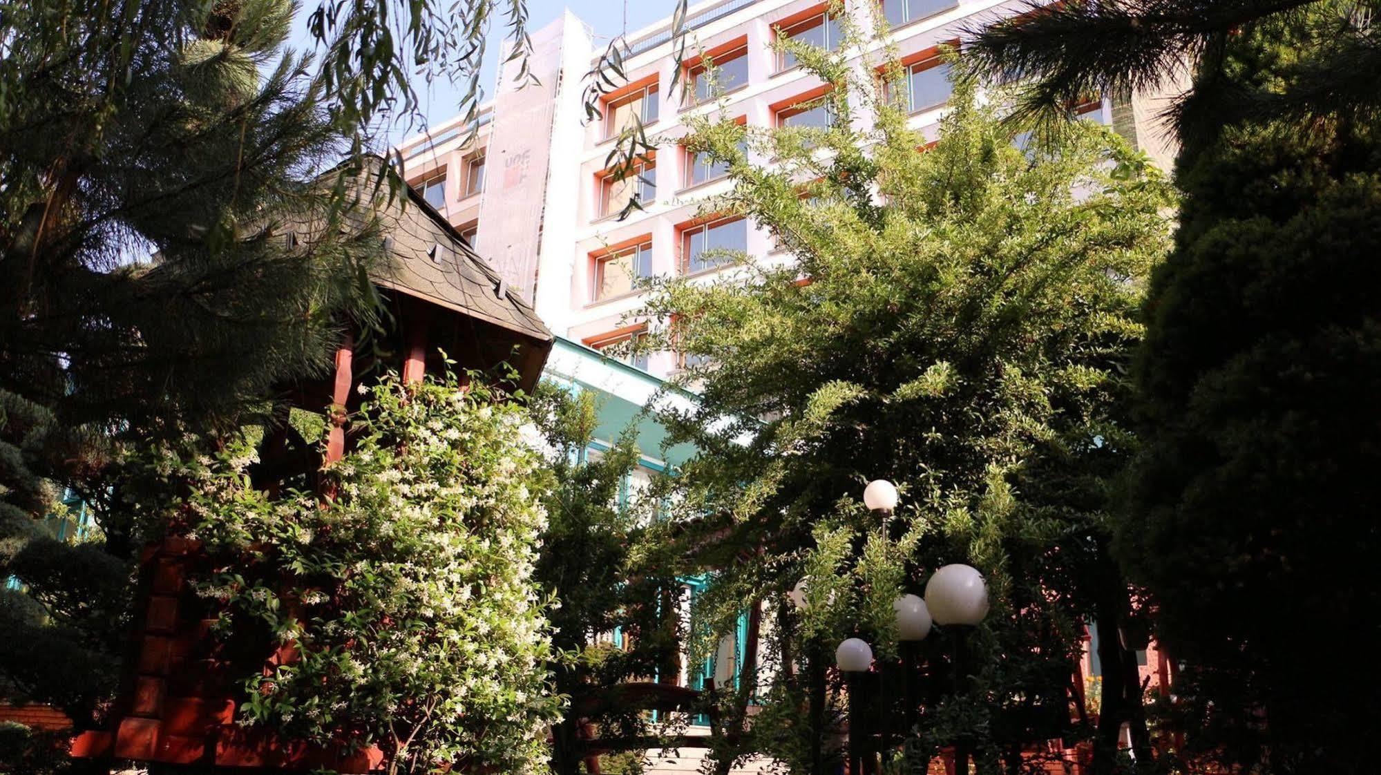 Hotel Carpati Бая-Маре Экстерьер фото